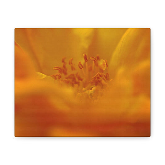 Hidden Gem Rose Wall Art Canvas