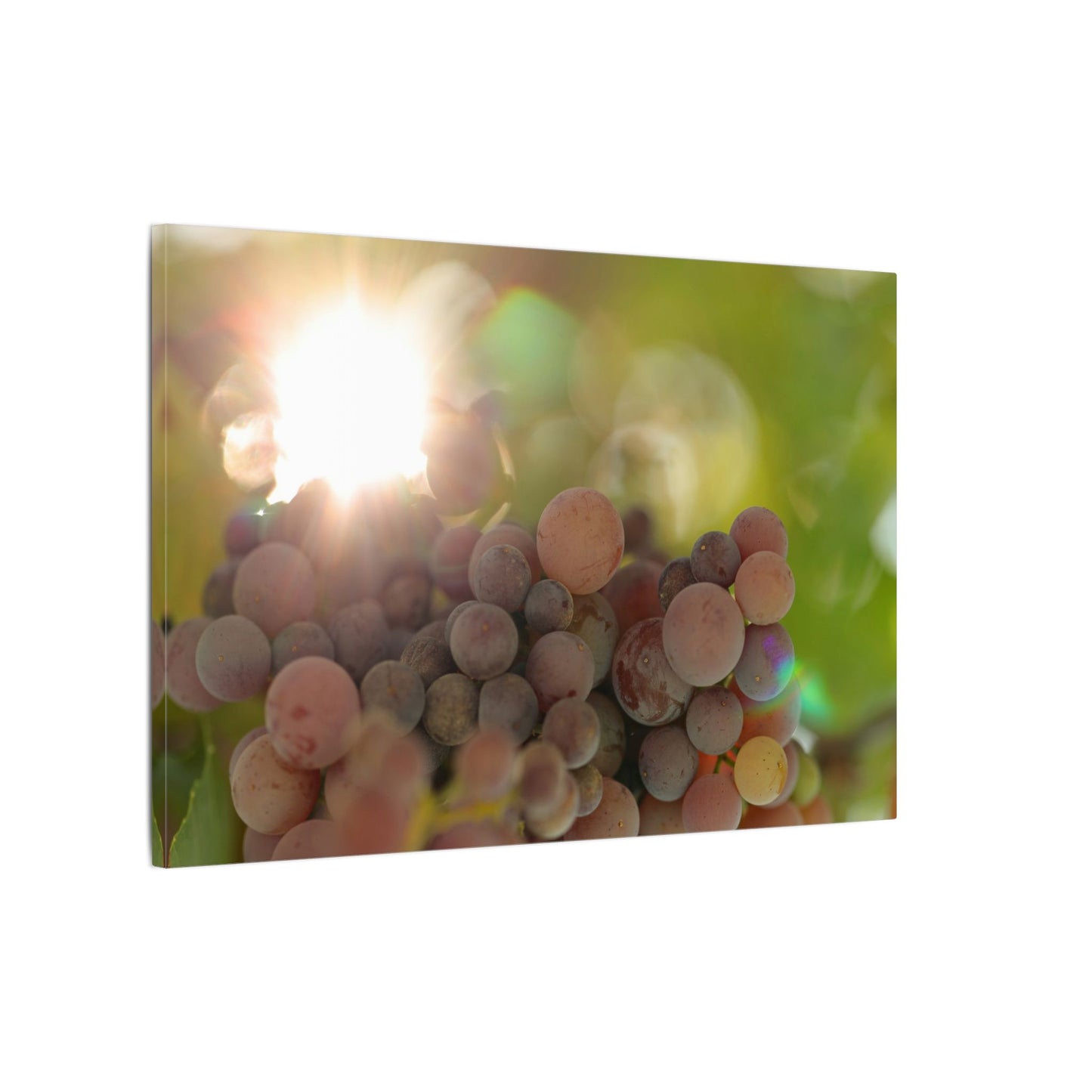 Grape Shine Wall Art Canvas