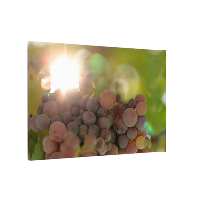 Grape Shine Wall Art Canvas