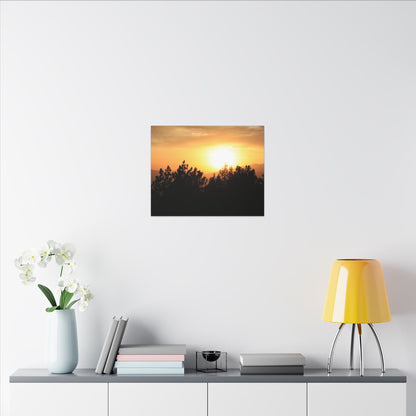 Angeles Forest Wall Art Canvas