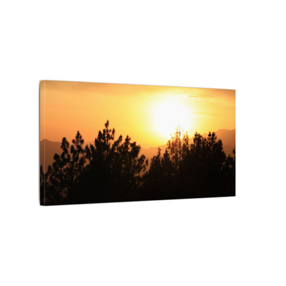 Angeles Forest Wall Art Canvas