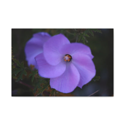 Violet Twist Wall Art Canvas