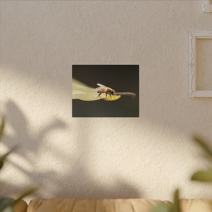 Honey Bee Glow Wall Art Canvas