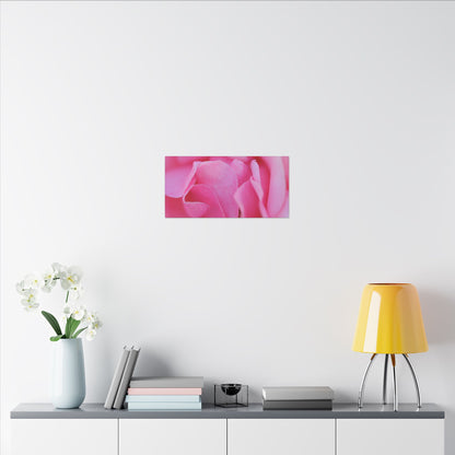 Voluptuous Pink Rose Wall Art Canvas