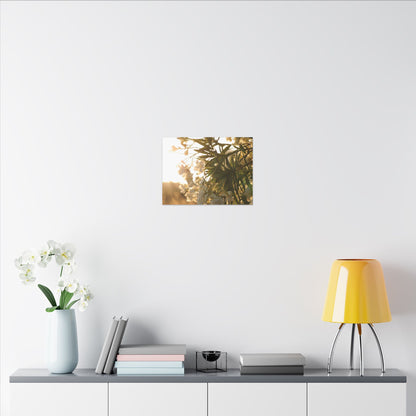Nerium Oleander Rosebay Wall Art Canvas