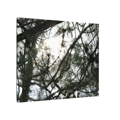 Of The Trees Wall Art Canvas