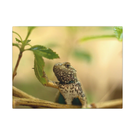 Lizard King Wall Art Canvas