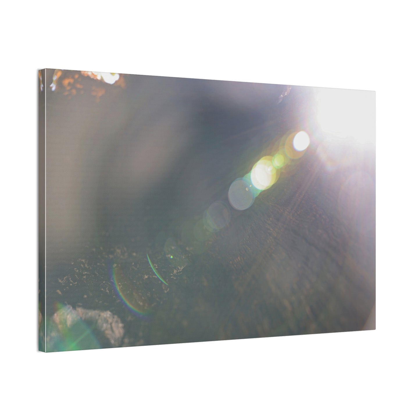 Fractal Spectrum of Light Wall Art Canvas