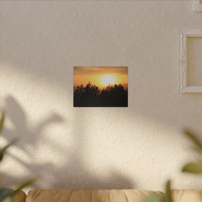 Angeles Forest Wall Art Canvas