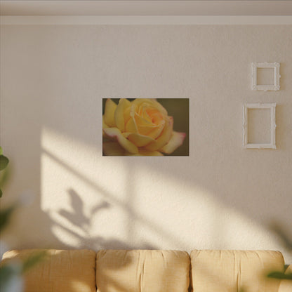 Yellow Delight Rose Wall Art Canvas