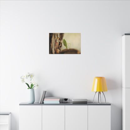 Grasshopper Push It Wall Art Canvas