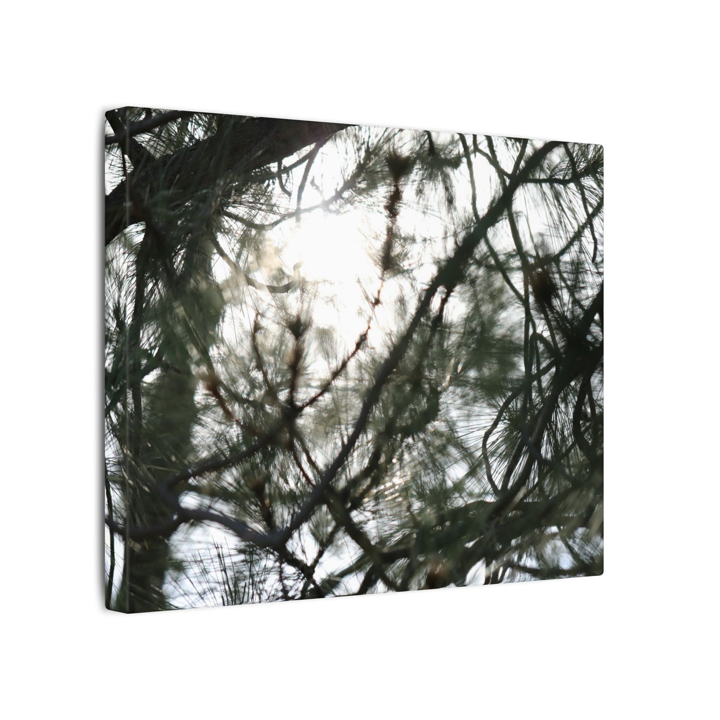 Of The Trees Wall Art Canvas
