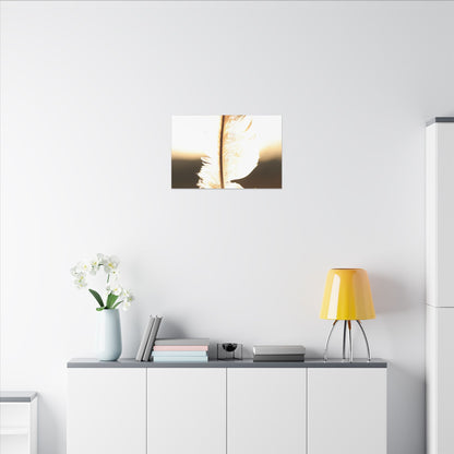 Feather in the Sun Wall Art Canvas
