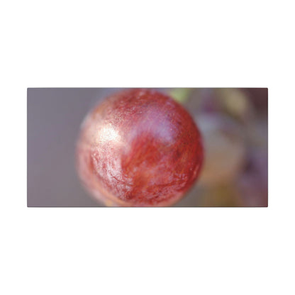 The Grape That Stood Alone Wall Art Canvas