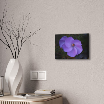 Violet Twist Wall Art Canvas