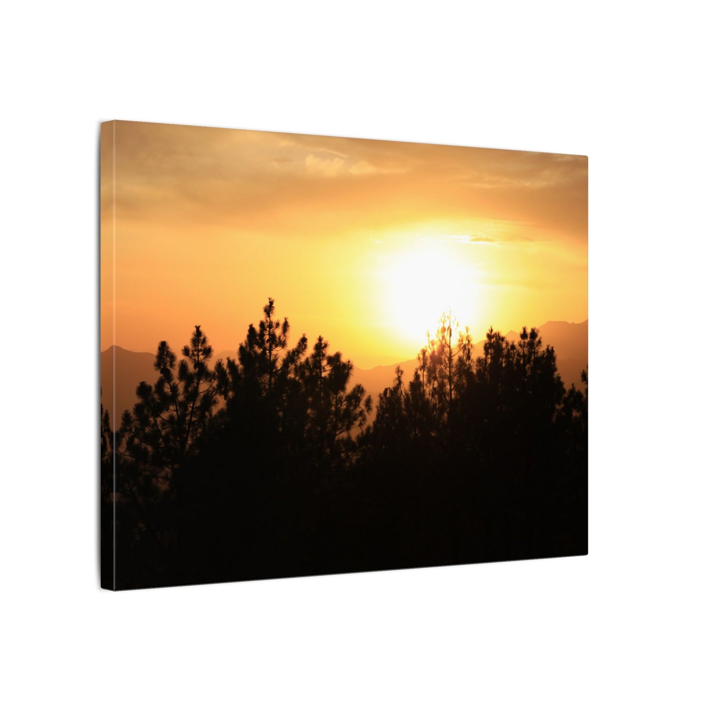 Angeles Forest Wall Art Canvas