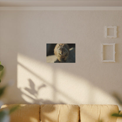 Starving Beach Squirrel Wall Art Canvas