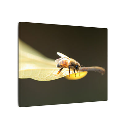Honey Bee Glow Wall Art Canvas
