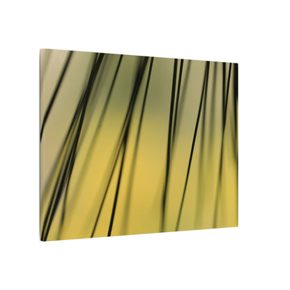 Through the Pine Needles Wall Art Canvas