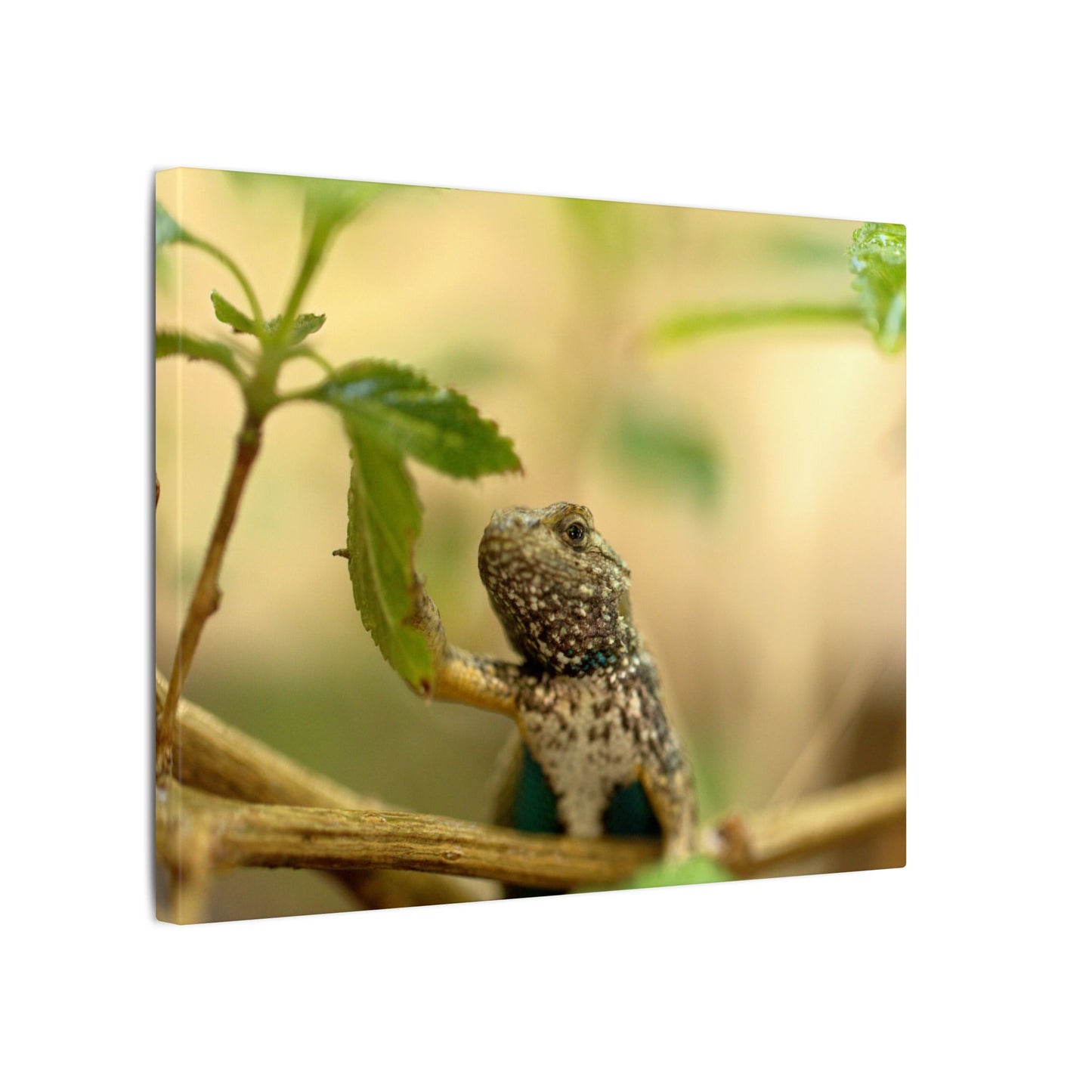 Lizard King Wall Art Canvas