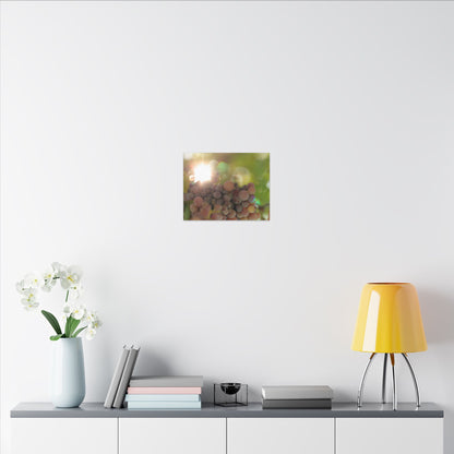 Grape Shine Wall Art Canvas