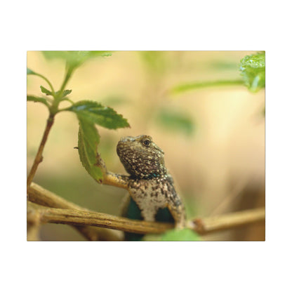 Lizard King Wall Art Canvas