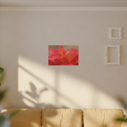 Color Bloom Rose Wall Art Canvas