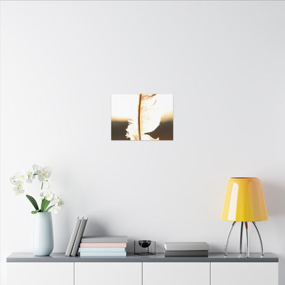 Feather in the Sun Wall Art Canvas
