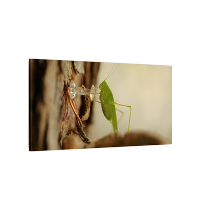 Grasshopper Push It Wall Art Canvas