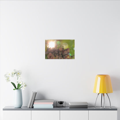 Grape Shine Wall Art Canvas