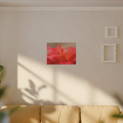 Color Bloom Rose Wall Art Canvas
