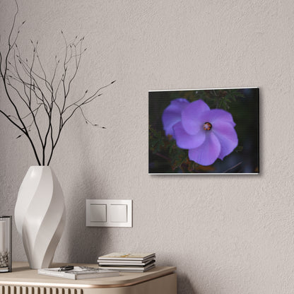 Violet Twist Wall Art Canvas