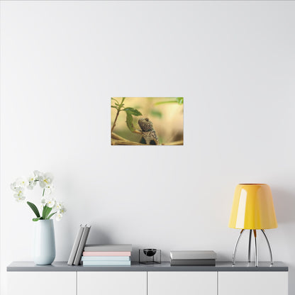 Lizard King Wall Art Canvas