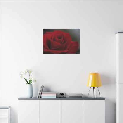 Red Rush Rose Wall Art Canvas