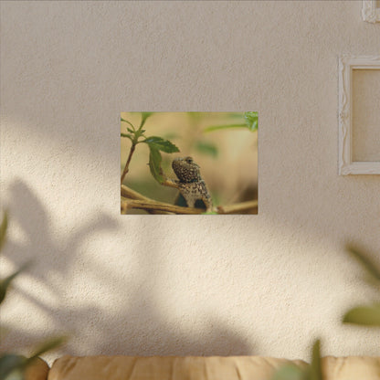 Lizard King Wall Art Canvas