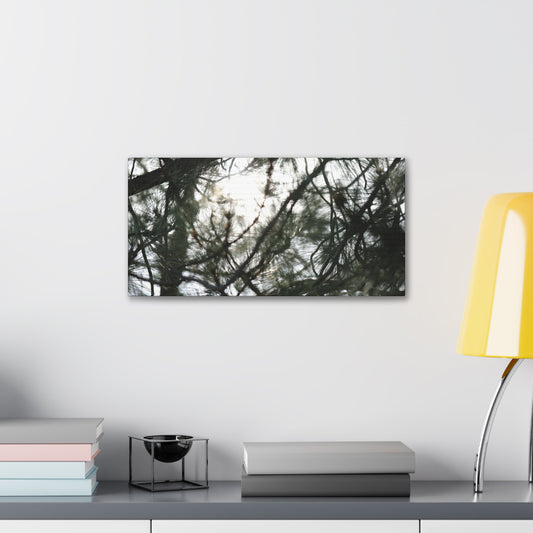 Of The Trees Nature Wall Art Canvas