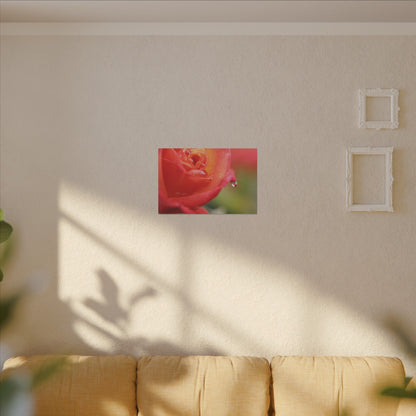 Drip Reflection Rose Wall Art Canvas