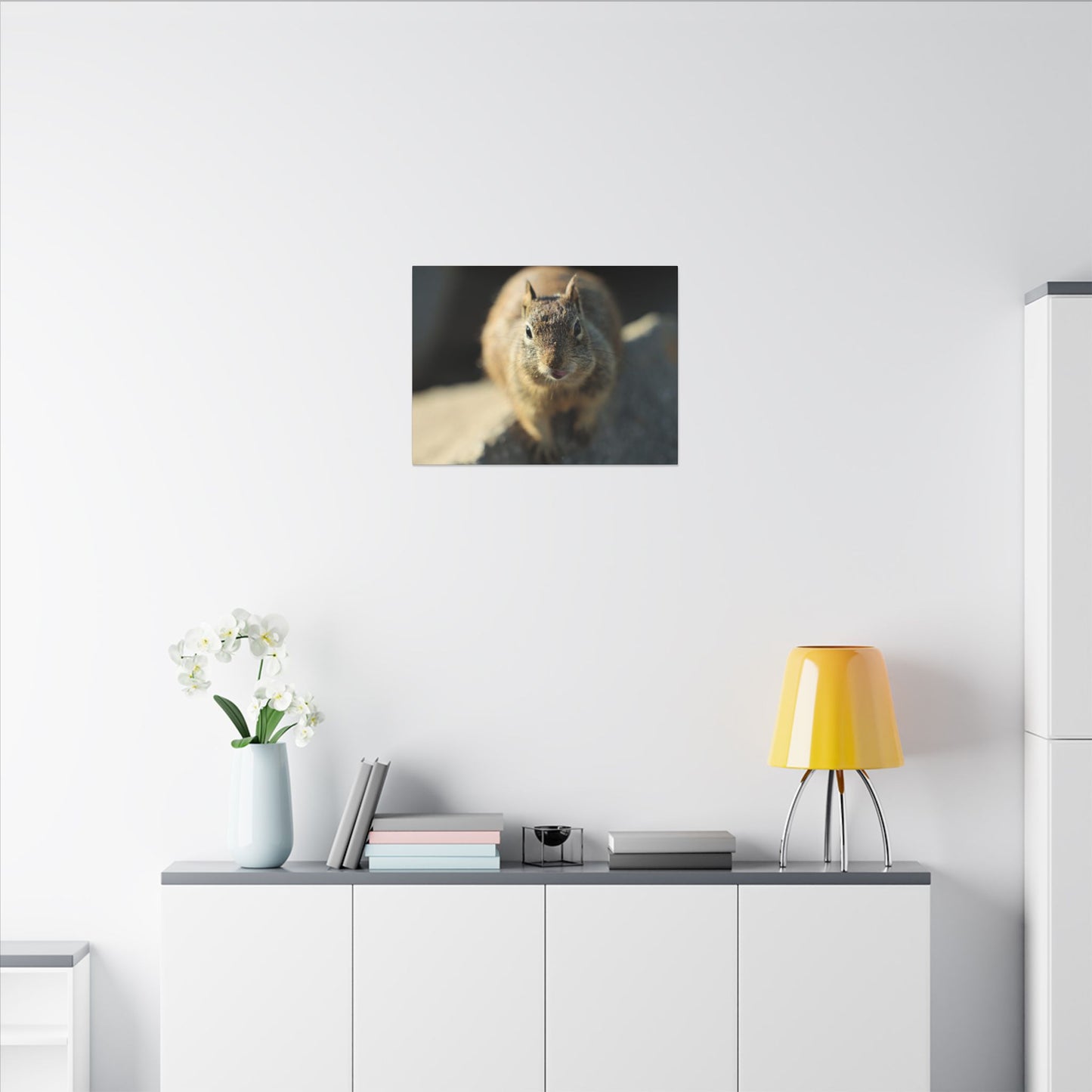 Starving Beach Squirrel Wall Art Canvas