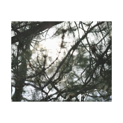 Of The Trees Wall Art Canvas