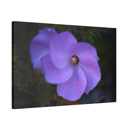 Violet Twist Wall Art Canvas