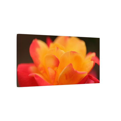 Electric Bloom Wall Art Canvas