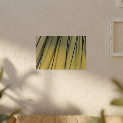 Through the Pine Needles Wall Art Canvas