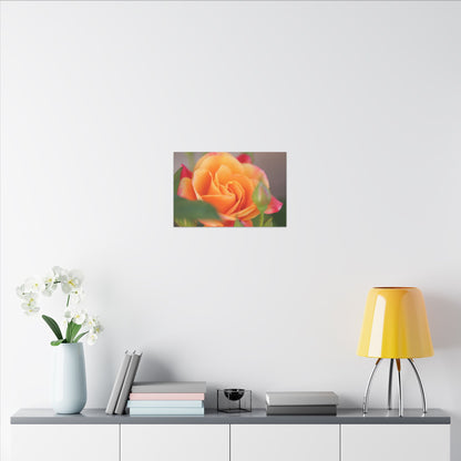 Paradise Rose Wall Art Canvas