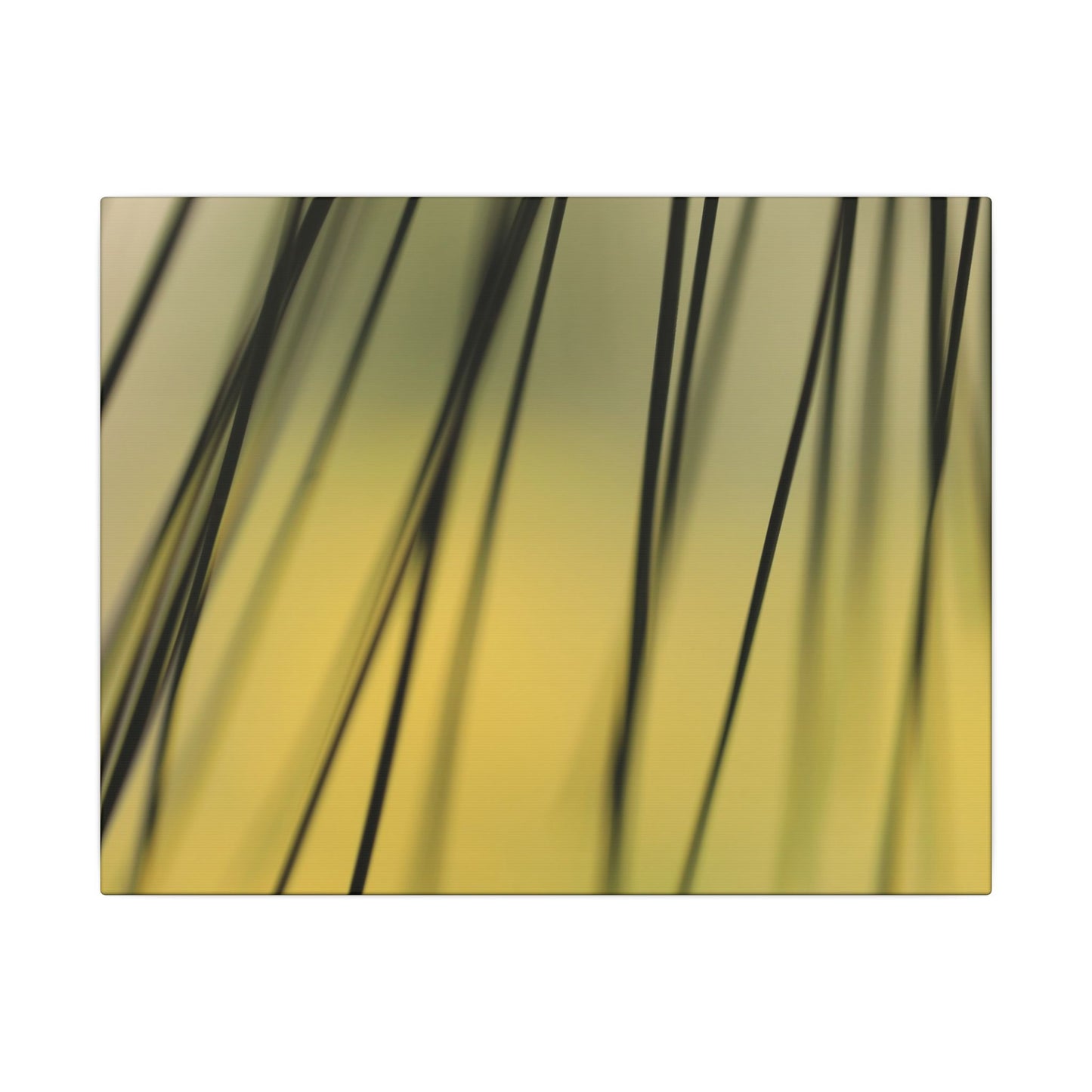 Through the Pine Needles Wall Art Canvas