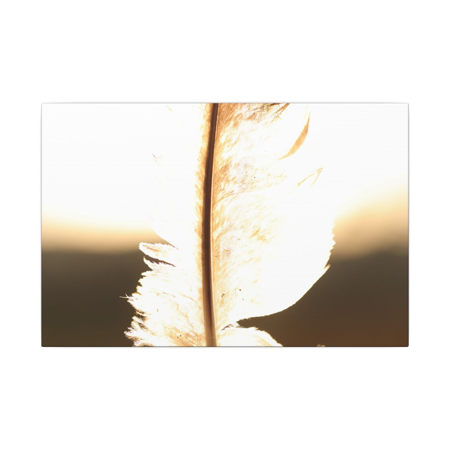 Feather in the Sun Wall Art Canvas