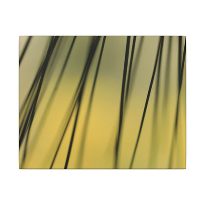 Through the Pine Needles Wall Art Canvas