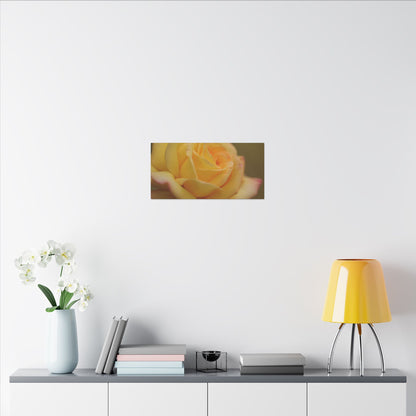 Yellow Delight Rose Wall Art Canvas