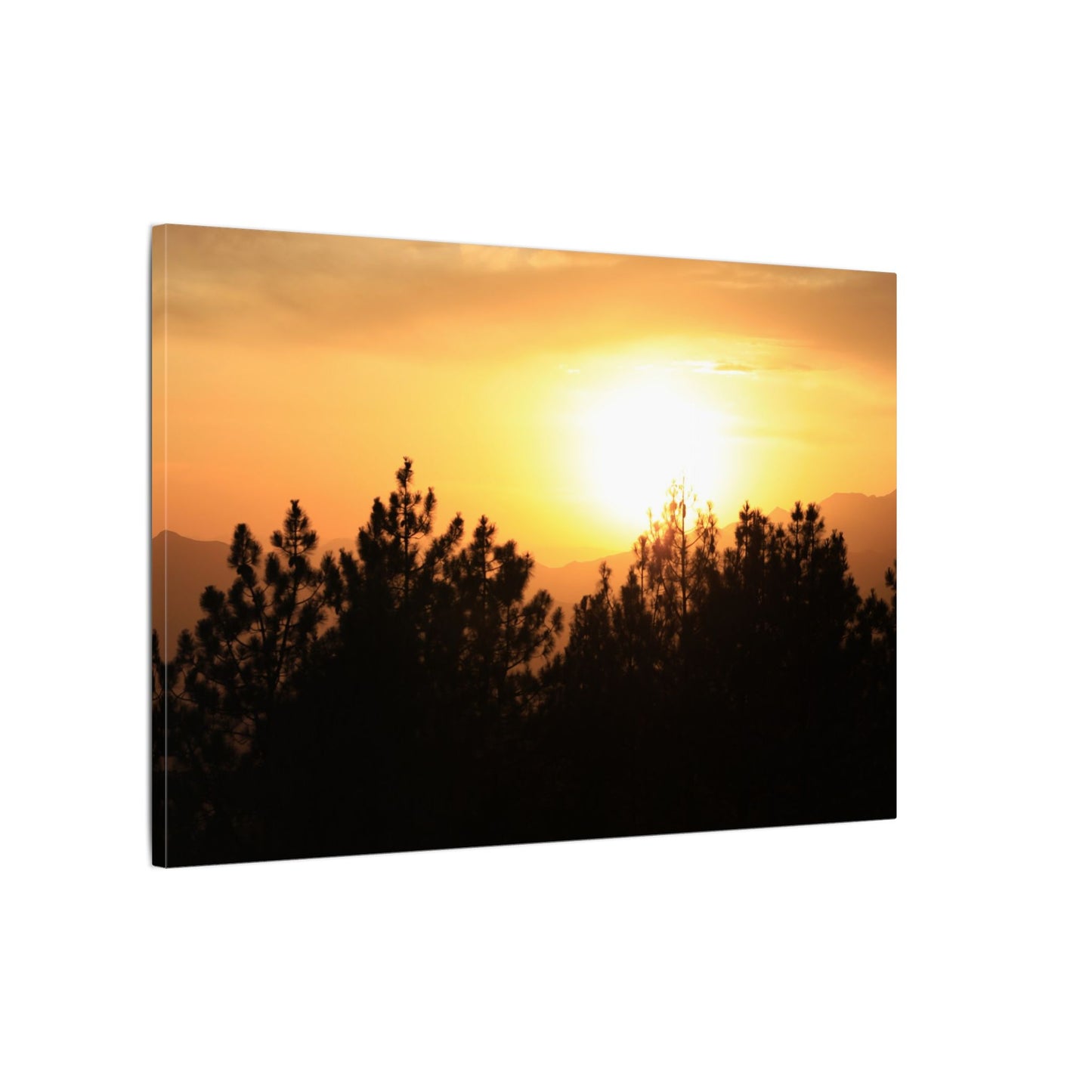 Angeles Forest Wall Art Canvas