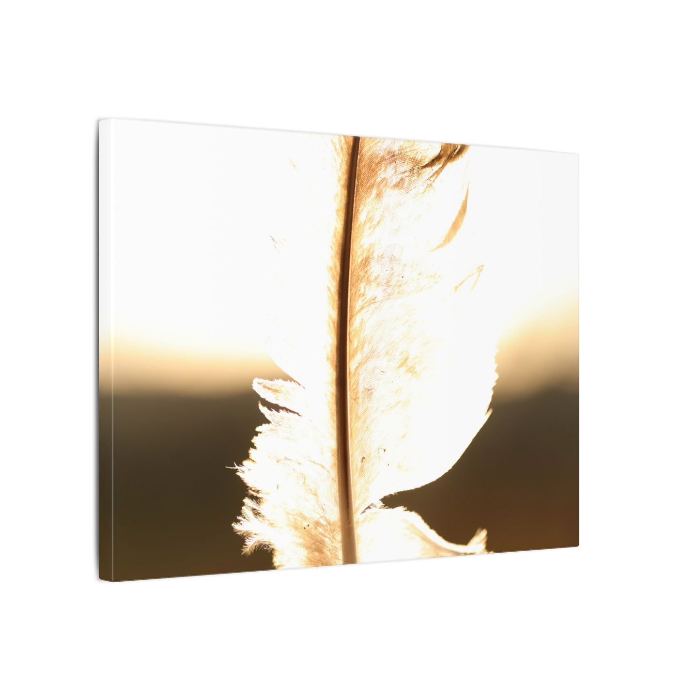Feather in the Sun Wall Art Canvas