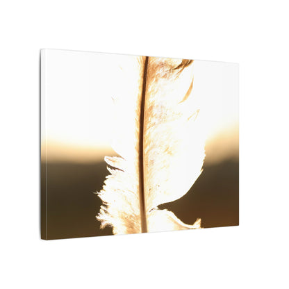 Feather in the Sun Wall Art Canvas